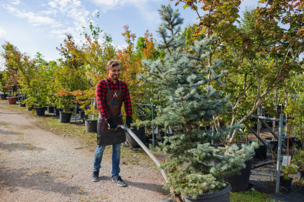 Middletown, NY Tree Removal and Landscaping Services Company